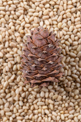 Cone on the background of peeled pine nuts closeup.