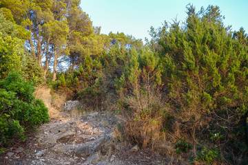 Wanderweg zur Steilküste der Kornaten