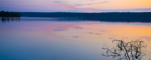 Fototapeta premium branch of the tree sticks out of the water. Violet-pink sunrise on the lake.