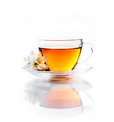 Asian green tea with jasmine flower in transparent teacup isolated on white background with reflection.
