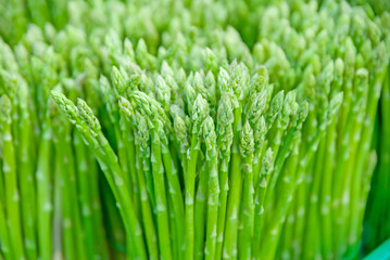Fototapeta na wymiar asparagus, asparagus from Thailand country