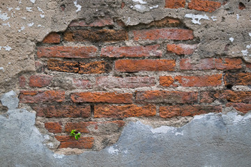 Close up of old red brick wall 