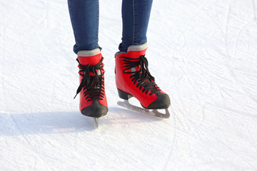 Female legs in skates on an ice rink