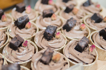 magnificent Chocolate Cream Pie