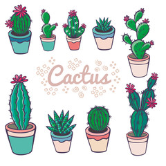 Set of colorful succulents and cactuses