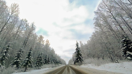 Country road in winter along the forest with white snow trees