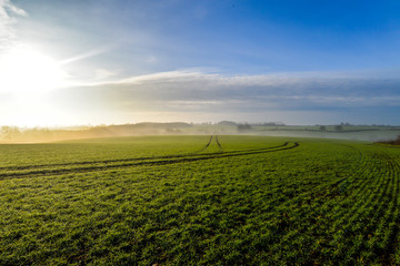 Misty morning in Woodend - Uk