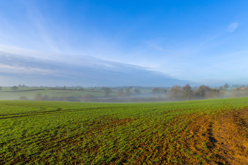 Misty morning in Woodend - Uk