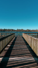 wooden bridge on the lake