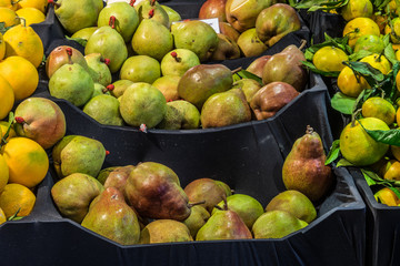 Obst. Essen. Gemüse.