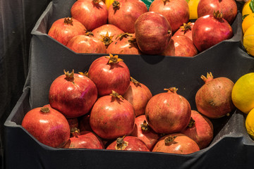Obst. Essen. Gemüse.