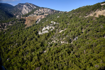 Fototapeta na wymiar Slope of a mountain in Greece covered with green forest