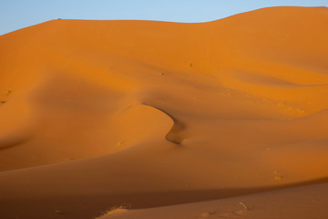 sunset in desert