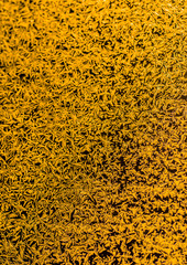 Background of yellow snowflakes on the glass, close-up