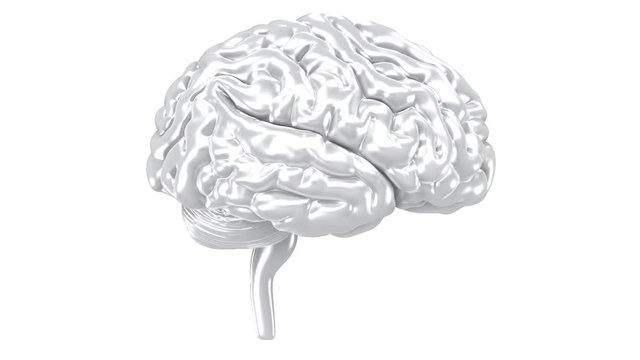 Rotating Silver Brain 3D Animation in Alpha