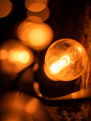 Light bulbs incandescent at night 