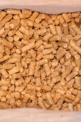 Pellets Biomass- close up studio shot. macro shot of energy efficient wood pellets fills frame. Wood pellets close up .Biofuels. Biomass Pellets - cheap energy. The cat litter. vertical photo.