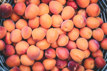 Ripe apricots in a wicker basket on green grass, top view, isolated
