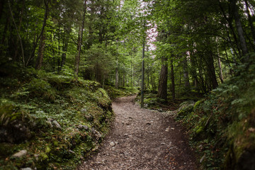 Obraz premium caminhos