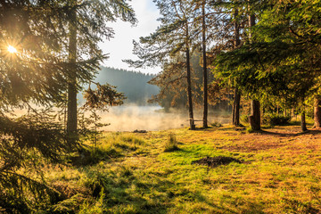 Magical morning in the mountain...