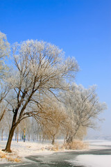 Rime natural landscape in north China