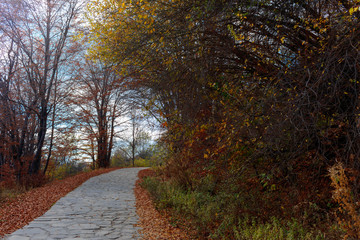 Stone path in the forest, Nimfeo village in Macedonia in Greece. The sky is blue with white clouds and next to the path has fallen orange leaves due to autumn.