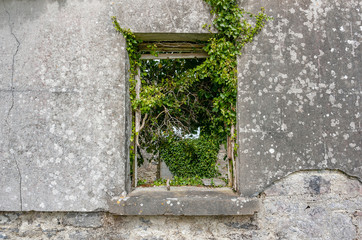 window in a ruin