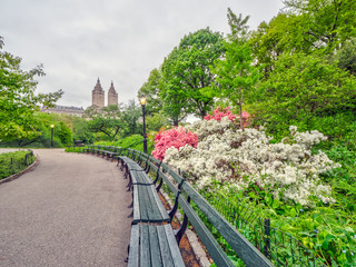 Central Park, New York City in spring