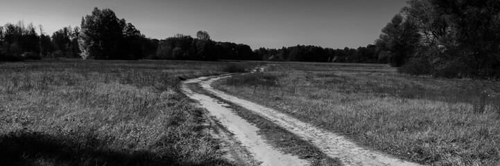 Old dirt road in the meadow leading to the forest. Web banner.