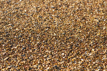 Beach sands texture and background