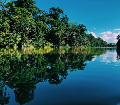 los hermosos canales del parque nacional tortuguero 