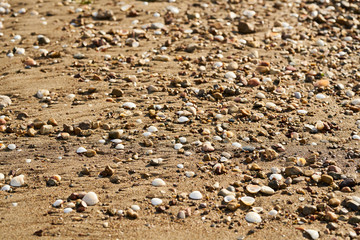 Beach sands texture and background