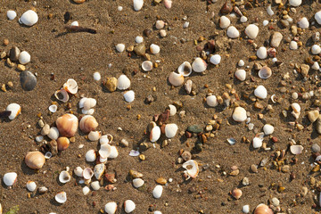 Beach sands texture and background