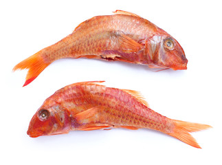 set of large smoked red mullet isolated on white background, beer snack