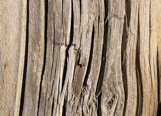 Obraz premium old wood texture