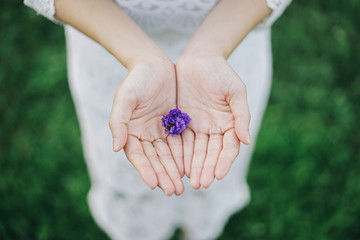 flower in the hand