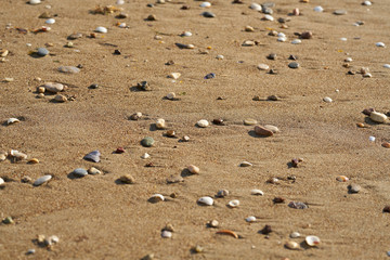 Beach sands texture and background