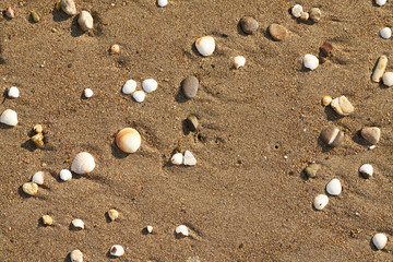 Fototapeta na wymiar Beach sands texture and background