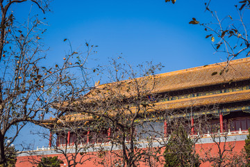 Ancient royal palaces of the Forbidden City in Beijing,China