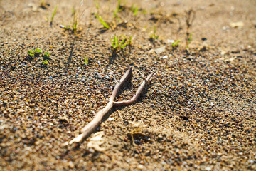Beach sands texture and background