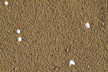 Fototapeta na wymiar Beach sands texture and background