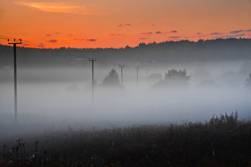 A pink dawn sky and a white fog over the power line going off into the distance.