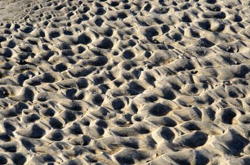 Bilder der Nordsee am Strand vo Langeoog, Insel