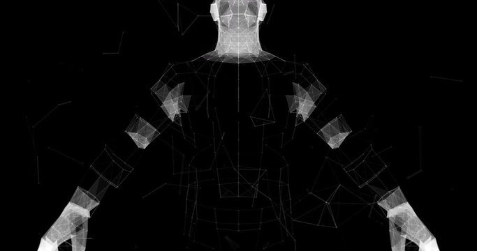Upper Body Human Figure Polygon 3D Model 4k Video Footage.