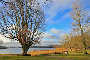 Dobbertiner See (Mecklenburg-Vorpommern