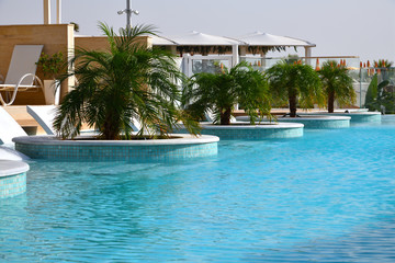 A Beautiful pool with a palm trees outdoors