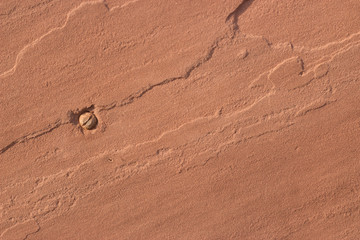 brick wall background