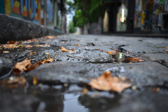 un camino solitario