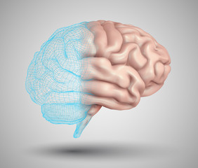 human brain and abstract design elements. mesh vector