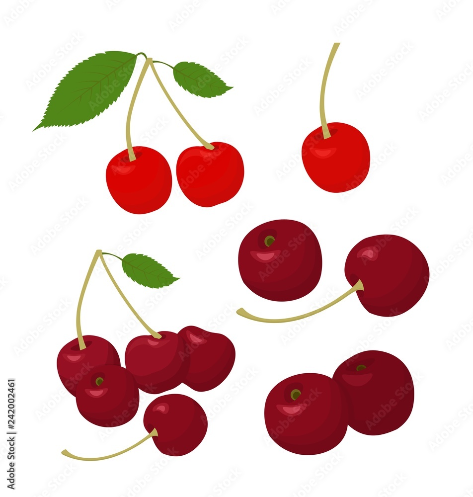 Poster Cherries collection. Cherry and merry on white background. Vector illustration